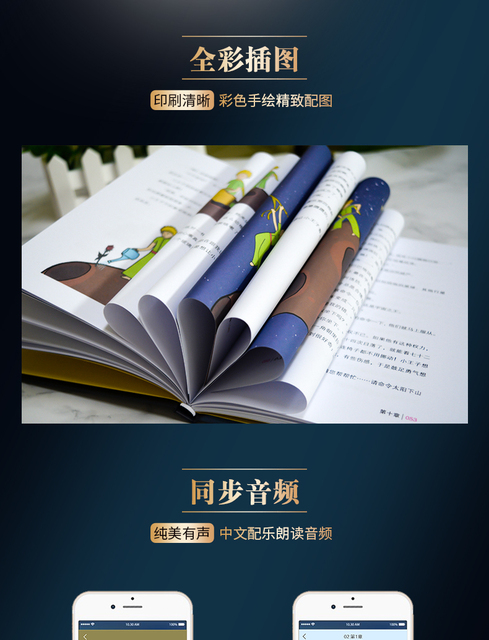 Książka przygodowa Mały Książę - chińska literatura dla dzieci - Wianko - 4