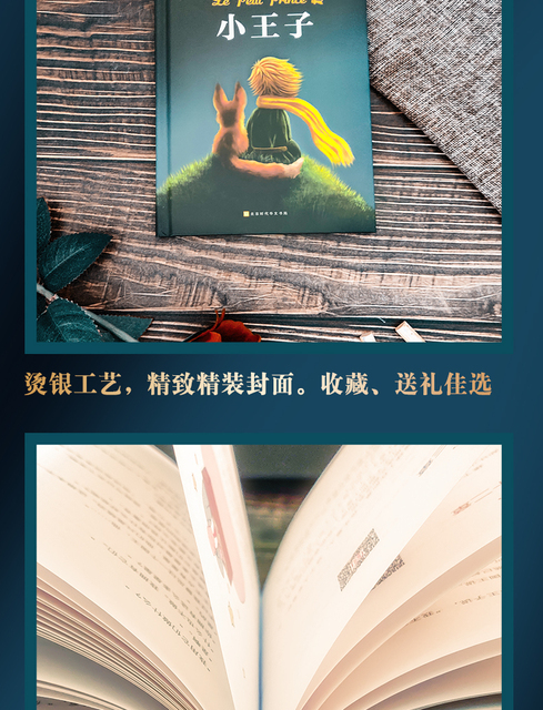 Książka przygodowa Mały Książę - chińska literatura dla dzieci - Wianko - 6