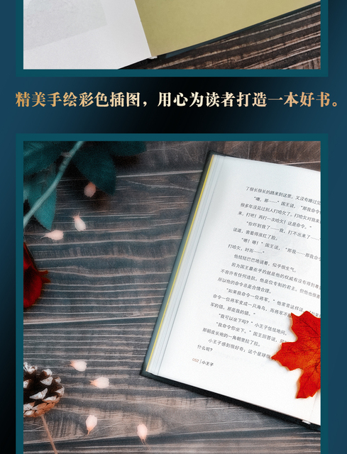 Książka przygodowa Mały Książę - chińska literatura dla dzieci - Wianko - 8