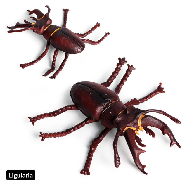 Figurka symulująca owady: pająk, konik polny, motyl, ślimak - model do dekoracji, wykonana z klimatycznymi detalami dla dzieci zabawki, prezenty - Wianko - 26