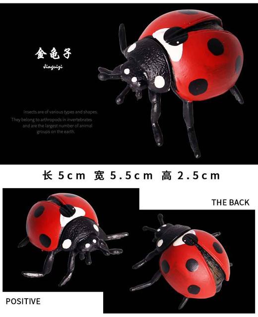 Figurka symulująca owady: pająk, konik polny, motyl, ślimak - model do dekoracji, wykonana z klimatycznymi detalami dla dzieci zabawki, prezenty - Wianko - 9