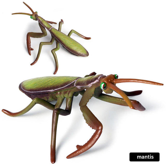 Figurka symulująca owady: pająk, konik polny, motyl, ślimak - model do dekoracji, wykonana z klimatycznymi detalami dla dzieci zabawki, prezenty - Wianko - 24