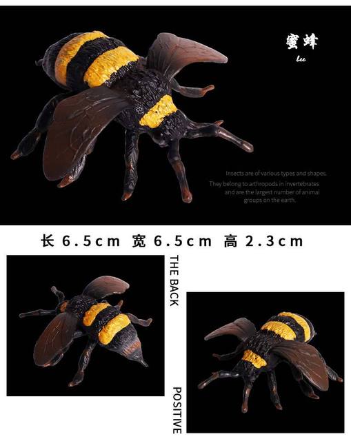 Figurka symulująca owady: pająk, konik polny, motyl, ślimak - model do dekoracji, wykonana z klimatycznymi detalami dla dzieci zabawki, prezenty - Wianko - 10