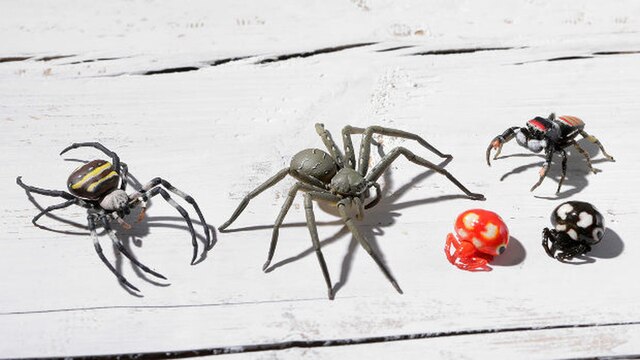 Kapsułka Q muzeum - Japoński pająk Argiope Amoena Cyrtarachne Bufo 5 rodzajów Figurki Akcji - Wianko - 2