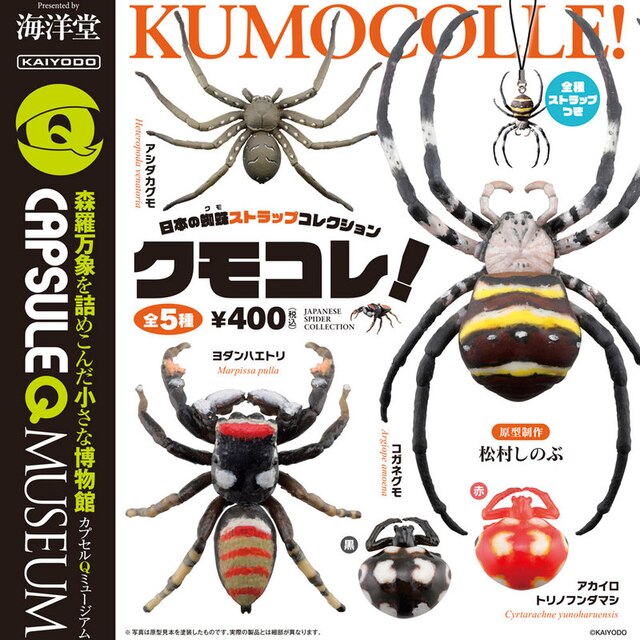 Kapsułka Q muzeum - Japoński pająk Argiope Amoena Cyrtarachne Bufo 5 rodzajów Figurki Akcji - Wianko - 1