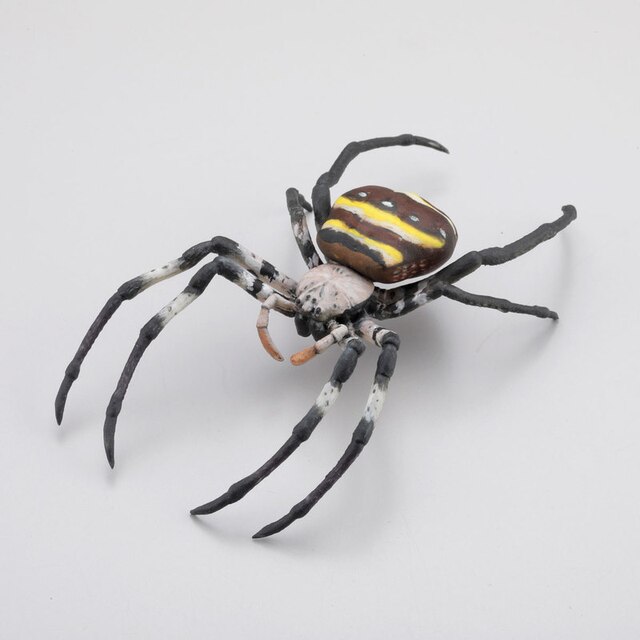 Kapsułka Q muzeum - Japoński pająk Argiope Amoena Cyrtarachne Bufo 5 rodzajów Figurki Akcji - Wianko - 4
