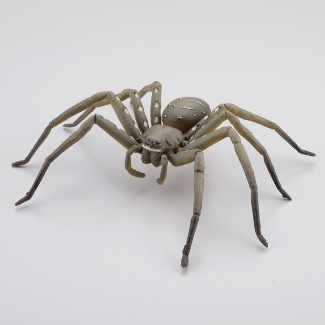 Kapsułka Q muzeum - Japoński pająk Argiope Amoena Cyrtarachne Bufo 5 rodzajów Figurki Akcji - Wianko - 3