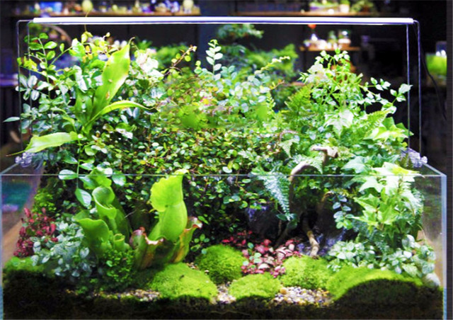 Lampa roślinna LED Chihiros ADA, krótki model do roślin wodnych i akwariów - Wianko - 5