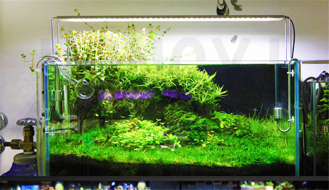 Lampa roślinna LED Chihiros ADA, krótki model do roślin wodnych i akwariów - Wianko - 6