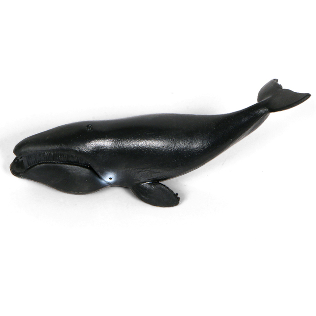 Miniaturowe modele zwierząt morskich: delfin, rekin, promienie wieloryba - zabawki dla dzieci - Wianko - 11