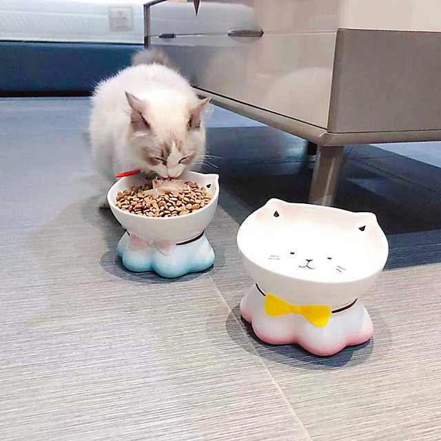 Wysokiej jakości ceramiczny zestaw miski dla kotów i psów, łatwe do czyszczenia i odporne na przewrócenie - Wianko - 6