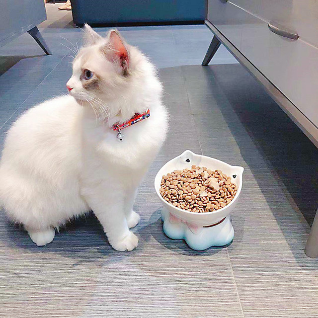 Wysokiej jakości ceramiczny zestaw miski dla kotów i psów, łatwe do czyszczenia i odporne na przewrócenie - Wianko - 4