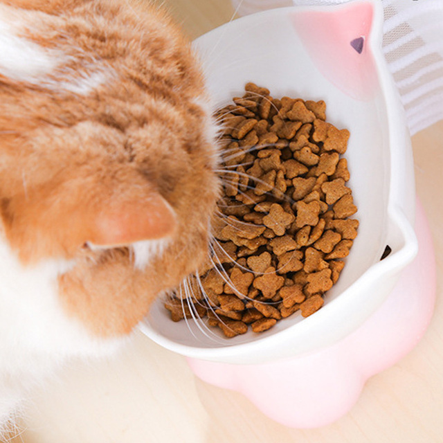 Wysokiej jakości ceramiczny zestaw miski dla kotów i psów, łatwe do czyszczenia i odporne na przewrócenie - Wianko - 2