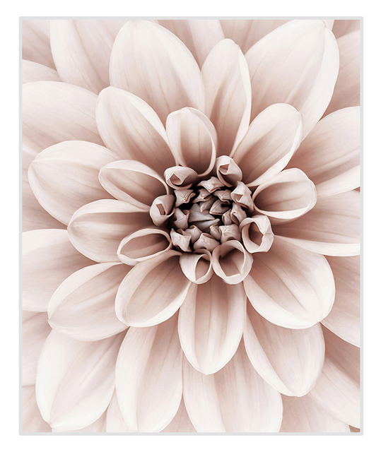 Rozpływający się różowy kwitnący kwiat - malarstwo na płótnie jako dekoracja wnętrza domowego - Wianko - 6