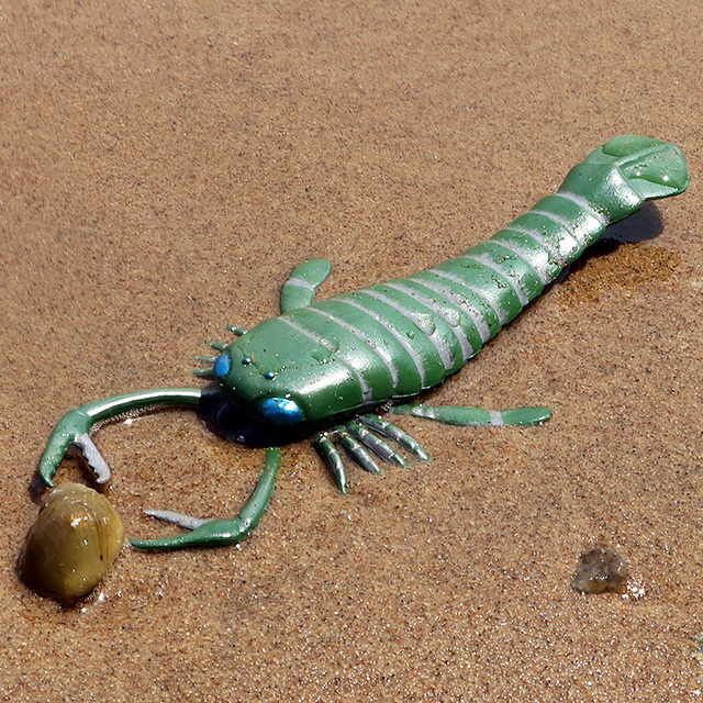 Figurki zwierząt oceanicznych Sea Life Model - krab, kałamarnica, krewetki, rozgwiazda, rekin, edukacyjne zabawki plażowe, Baby Shower - Wianko - 10