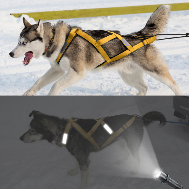 Wszystko w Jednym Łączona uprząż dla dużych psów - wodoodporne i odblaskowe, idealna do treningu i aktywności alaskańskiego jeżdżenia na psach i skigoringu - Wianko - 8