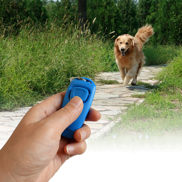 Gwizdek Clicker - urządzenie treningowe dla psów z breloczkiem - Wianko - 1