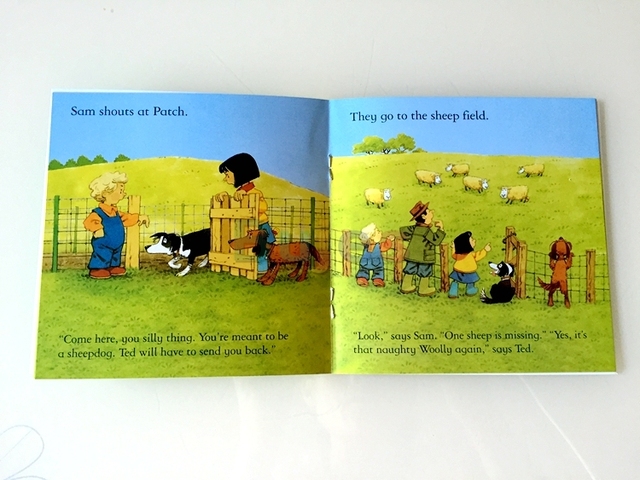 Zestaw 20 angielskich książek Usborne o farmach - Farm Story, z ilustracjami, do kolorowania (dział Edukacja i nauka) - Wianko - 9
