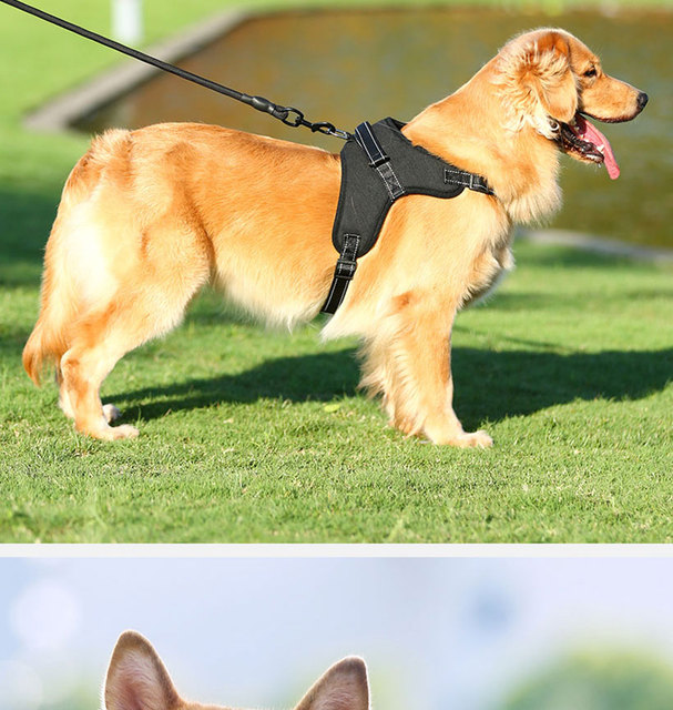 Szelki odblaskowe dla psa - regulowana kamizelka na klatkę piersiową z smyczą - dla małych, średnich i dużych psów oraz kotów - akcesoria do chodzenia - Wianko - 11