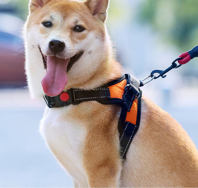Szelki odblaskowe dla psa - regulowana kamizelka na klatkę piersiową z smyczą - dla małych, średnich i dużych psów oraz kotów - akcesoria do chodzenia - Wianko - 12