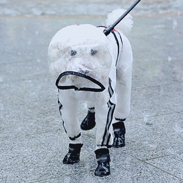 Płaszcz przeciwdeszczowy z kapturem dla psów - przezroczysty, wodoodporny, wiatroszczelny - Teddy - Wianko - 7