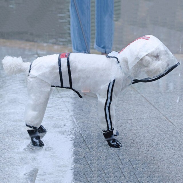 Płaszcz przeciwdeszczowy z kapturem dla psów - przezroczysty, wodoodporny, wiatroszczelny - Teddy - Wianko - 8