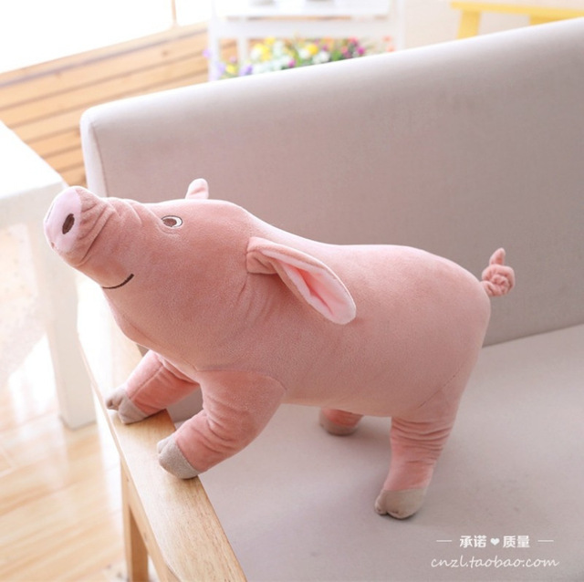 Mięciutka pluszowa świnka 25-60 cm dla dzieci - Wianko - 1