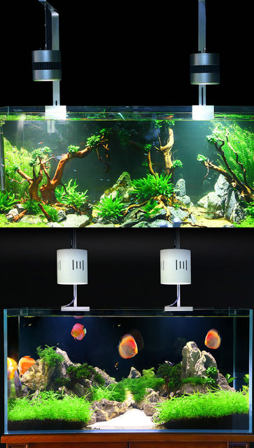 Akwarium z pełnozakresowym oświetleniem LED dla roślin wodnych - Wianko - 24