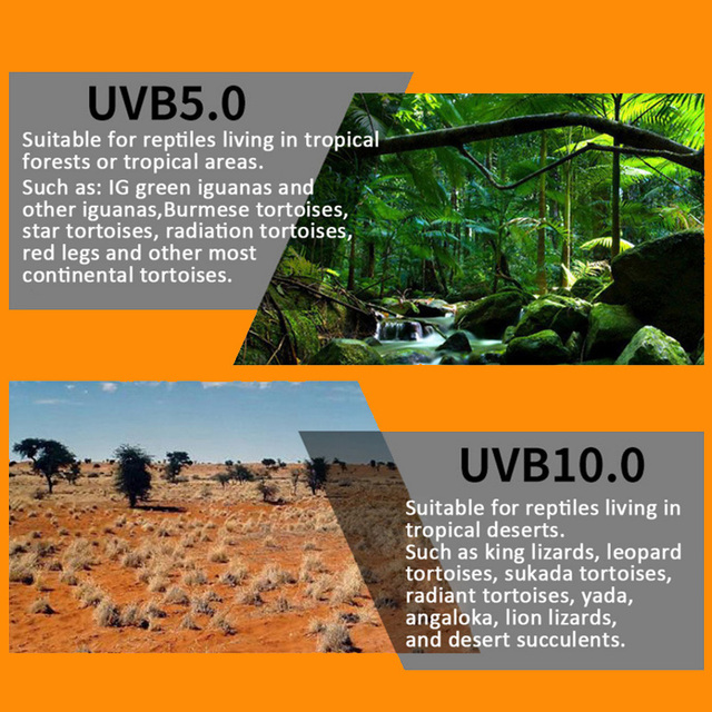 Energiooszczędne światło żarówka UVB 5.0 10.0 dla płazów i gadów E27 - Wianko - 5