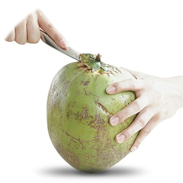 Otwieracz do kokosów ze stali nierdzewnej - narzędzie do otwierania świeżej zielonej wody kokosowej - Wianko - 5