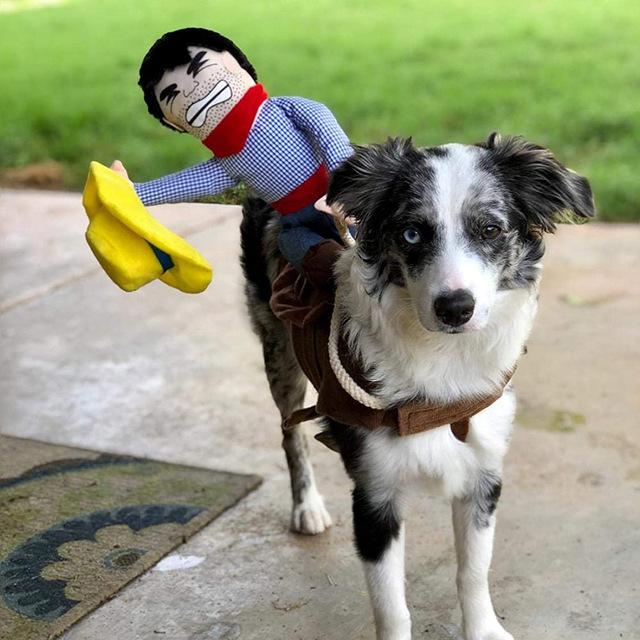 Kostium Kowbojski Jeździec dla psów - Płaszcz z lalką i kapeluszem, idealny na Halloween - Wianko - 5