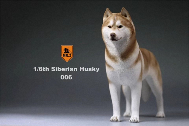 Model Husky Pet Huskie 1:6 - symulacja syberyjskiego psa z rysunkami zwierząt, ozdoba z żywicy, prezent dla dzieci - Wianko - 19