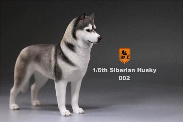 Model Husky Pet Huskie 1:6 - symulacja syberyjskiego psa z rysunkami zwierząt, ozdoba z żywicy, prezent dla dzieci - Wianko - 6