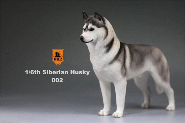 Model Husky Pet Huskie 1:6 - symulacja syberyjskiego psa z rysunkami zwierząt, ozdoba z żywicy, prezent dla dzieci - Wianko - 4