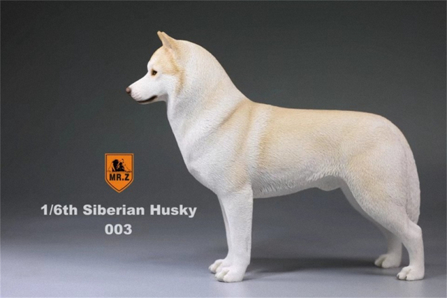 Model Husky Pet Huskie 1:6 - symulacja syberyjskiego psa z rysunkami zwierząt, ozdoba z żywicy, prezent dla dzieci - Wianko - 8