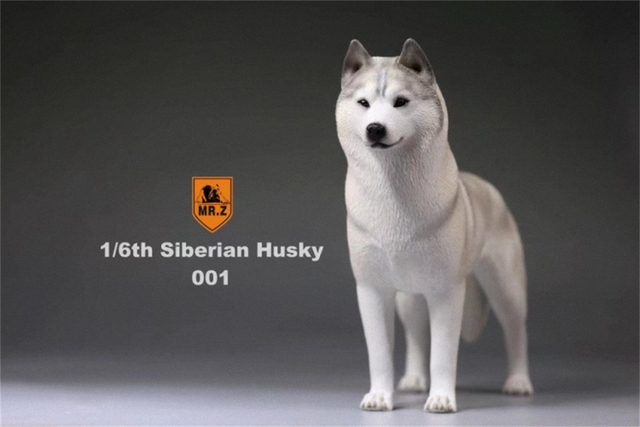 Model Husky Pet Huskie 1:6 - symulacja syberyjskiego psa z rysunkami zwierząt, ozdoba z żywicy, prezent dla dzieci - Wianko - 3