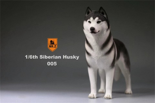 Model Husky Pet Huskie 1:6 - symulacja syberyjskiego psa z rysunkami zwierząt, ozdoba z żywicy, prezent dla dzieci - Wianko - 16