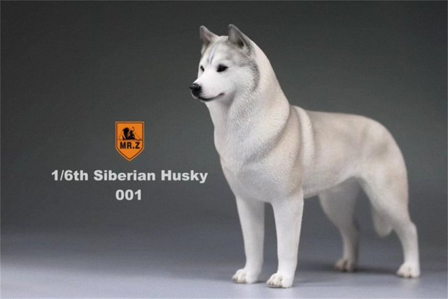 Model Husky Pet Huskie 1:6 - symulacja syberyjskiego psa z rysunkami zwierząt, ozdoba z żywicy, prezent dla dzieci - Wianko - 1