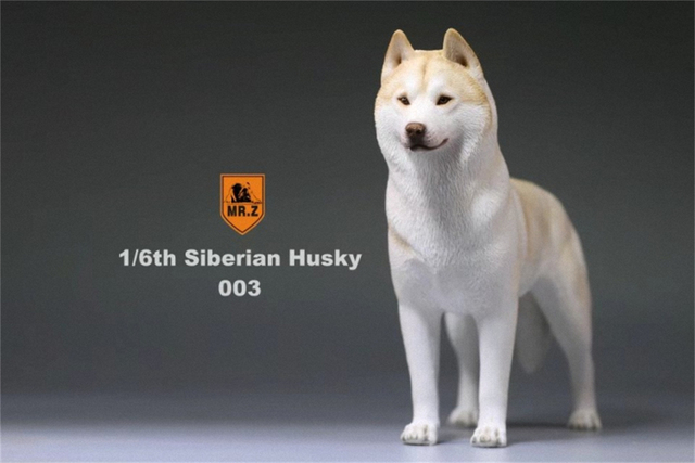 Model Husky Pet Huskie 1:6 - symulacja syberyjskiego psa z rysunkami zwierząt, ozdoba z żywicy, prezent dla dzieci - Wianko - 10