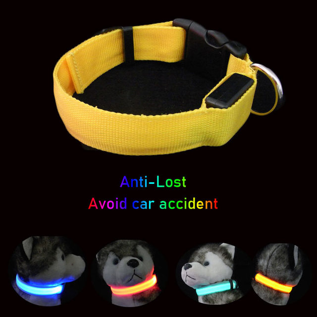 Obroża LED dla psa i kota, ładująca się przez USB, nylonowa, do smyczy Chihuahua, zapewniająca bezpieczeństwo w ciemnościach - Wianko - 4