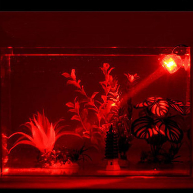 1W 220V LED Wodoodporne Oświetlenie Podwodne Akwarium - Lampy Rybne, Rośliny, Przyssawki - Wianko - 8