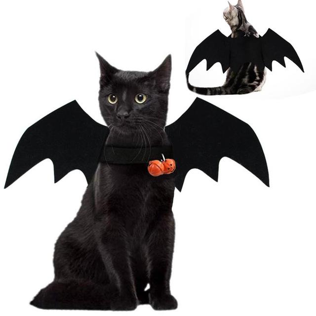 Halloweenowe przebranie dla kotów: Zwierzęce wampiry w nietoperzowych kostiumach na Halloween - Wianko - 2