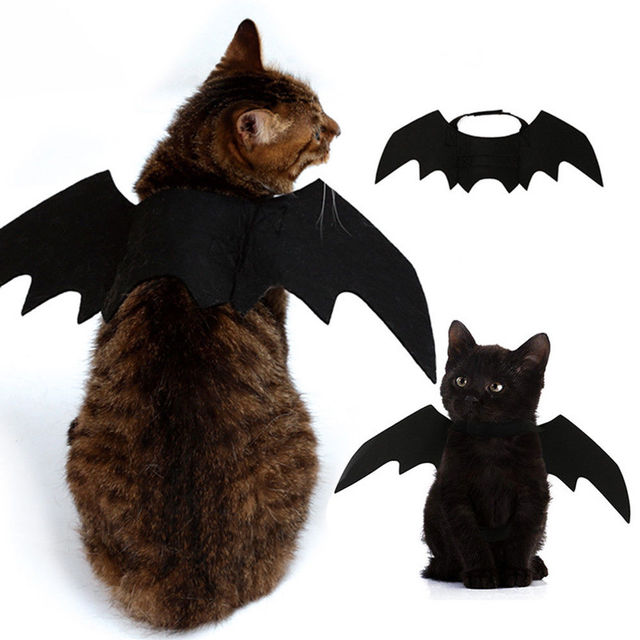 Halloweenowe przebranie dla kotów: Zwierzęce wampiry w nietoperzowych kostiumach na Halloween - Wianko - 1