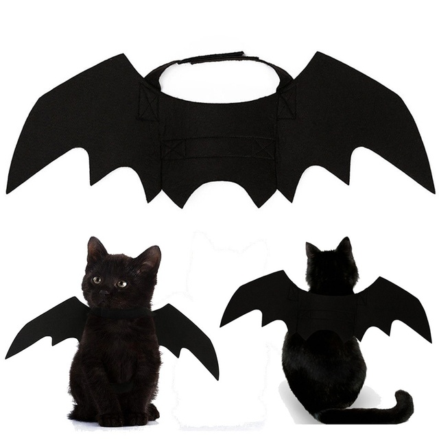 Halloweenowe przebranie dla kotów: Zwierzęce wampiry w nietoperzowych kostiumach na Halloween - Wianko - 3