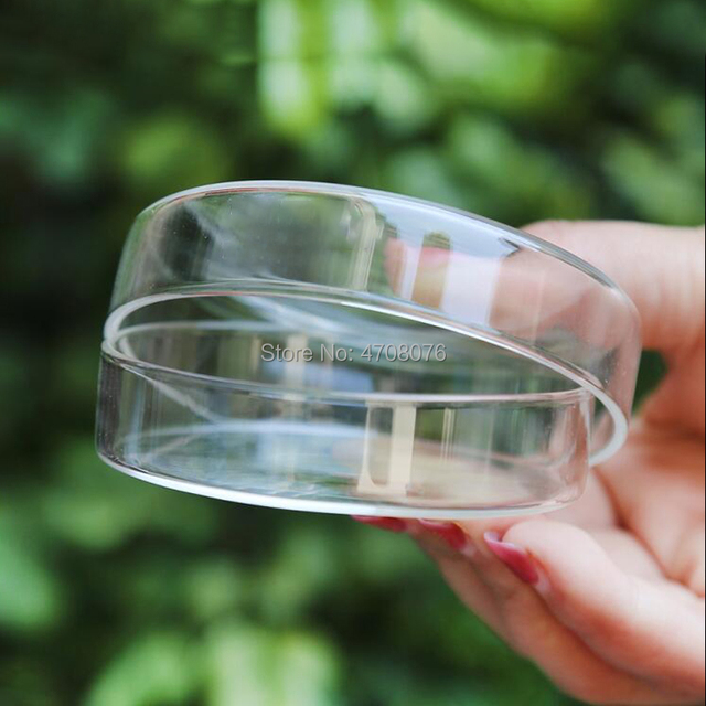 Szalki petriego Dia 90mm, 3 zestawy/pudełko, szkło borokrzemianowe, pokrywa szklana, sprzęt do eksperymentów laboratoryjnych - Wianko - 3