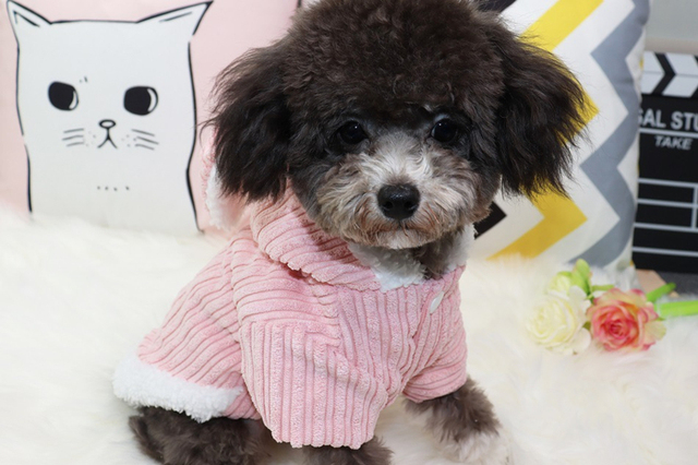 Kurtka sztruksowa dla psa i ciepłe ubranie z kapturem dla kota w różowym kolorze - Wianko - 2