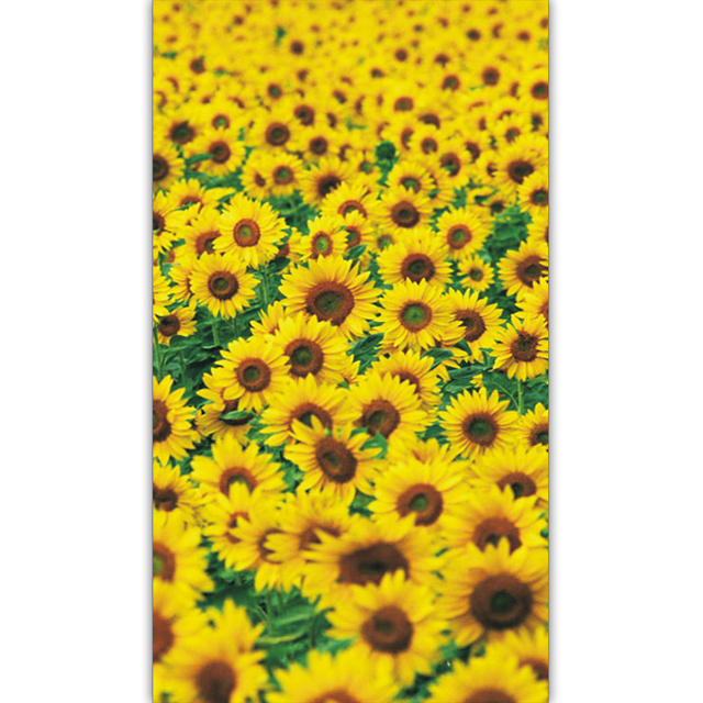 Plakat bezramkowy - Duże słoneczniki - Obrazy roślinne - Nowoczesna dekoracja domowa - Wianko - 11