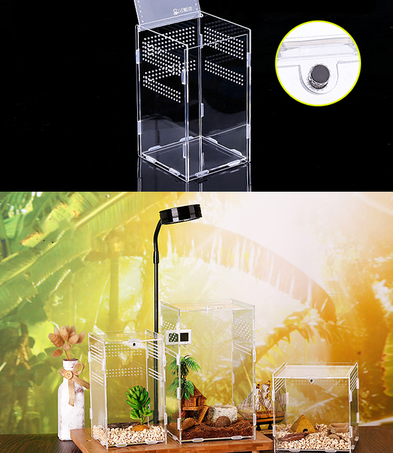 Inkubator gadów akrylowy Terrarium Transparentny Pająk Jaszczurka Skorpion Enti Oddychający Owad - Wianko - 7
