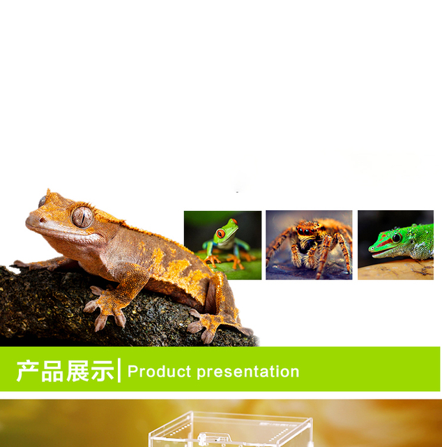 Inkubator gadów akrylowy Terrarium Transparentny Pająk Jaszczurka Skorpion Enti Oddychający Owad - Wianko - 12