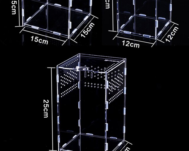 Inkubator gadów akrylowy Terrarium Transparentny Pająk Jaszczurka Skorpion Enti Oddychający Owad - Wianko - 9